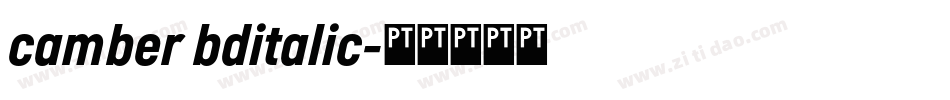 camber bditalic字体转换